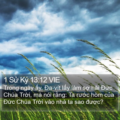 1 Sử Ký 13:12 VIE Bible Verse Image