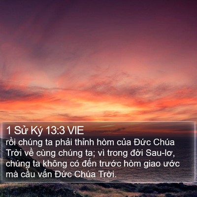 1 Sử Ký 13:3 VIE Bible Verse Image