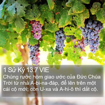 1 Sử Ký 13:7 VIE Bible Verse Image