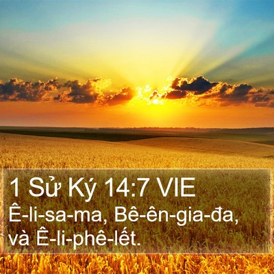 1 Sử Ký 14:7 VIE Bible Verse Image