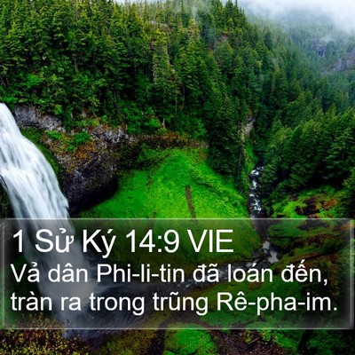 1 Sử Ký 14:9 VIE Bible Verse Image