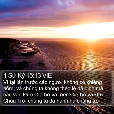 1 Sử Ký 15:13 VIE Bible Verse Image