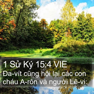 1 Sử Ký 15:4 VIE Bible Verse Image