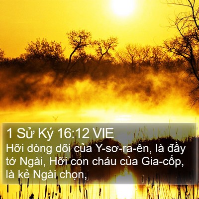 1 Sử Ký 16:12 VIE Bible Verse Image