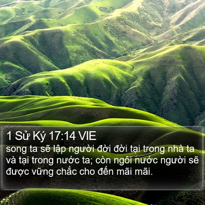 1 Sử Ký 17:14 VIE Bible Verse Image