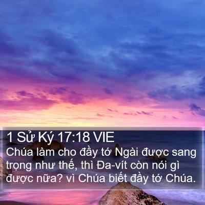 1 Sử Ký 17:18 VIE Bible Verse Image