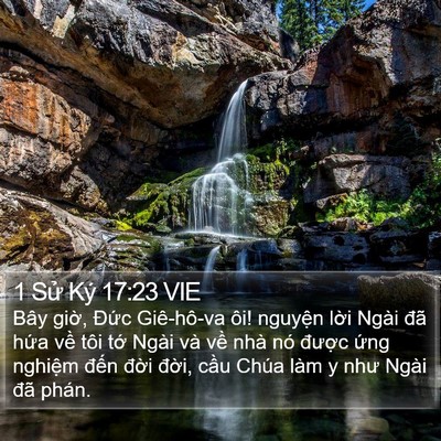 1 Sử Ký 17:23 VIE Bible Verse Image