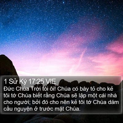1 Sử Ký 17:25 VIE Bible Verse Image