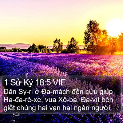 1 Sử Ký 18:5 VIE Bible Verse Image