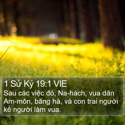 1 Sử Ký 19:1 VIE Bible Verse Image