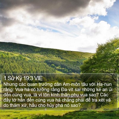 1 Sử Ký 19:3 VIE Bible Verse Image