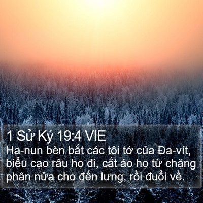 1 Sử Ký 19:4 VIE Bible Verse Image