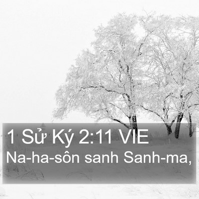 1 Sử Ký 2:11 VIE Bible Verse Image