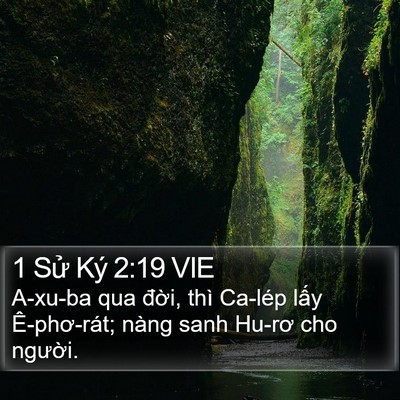 1 Sử Ký 2:19 VIE Bible Verse Image