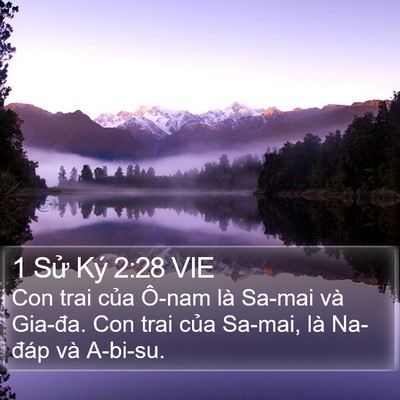 1 Sử Ký 2:28 VIE Bible Verse Image
