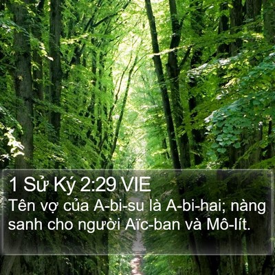 1 Sử Ký 2:29 VIE Bible Verse Image