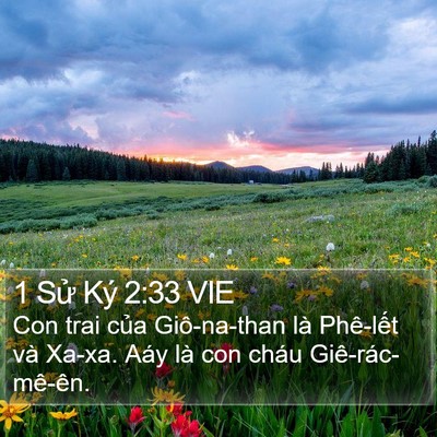 1 Sử Ký 2:33 VIE Bible Verse Image