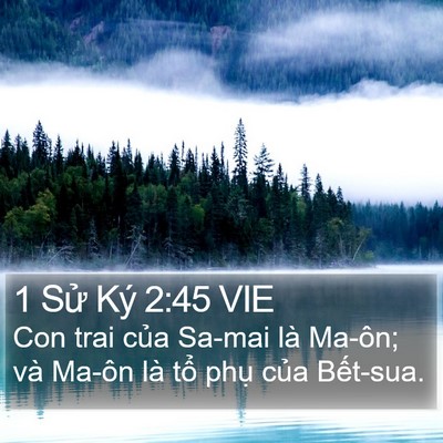 1 Sử Ký 2:45 VIE Bible Verse Image