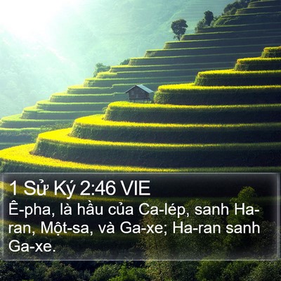 1 Sử Ký 2:46 VIE Bible Verse Image