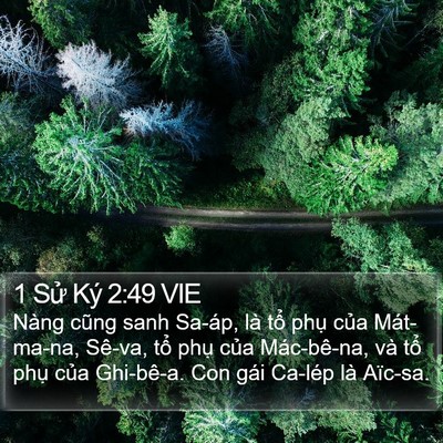 1 Sử Ký 2:49 VIE Bible Verse Image
