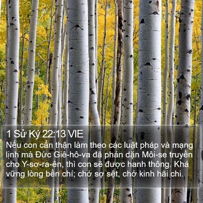 1 Sử Ký 22:13 VIE Bible Verse Image