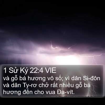 1 Sử Ký 22:4 VIE Bible Verse Image