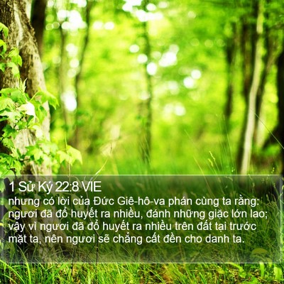 1 Sử Ký 22:8 VIE Bible Verse Image