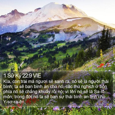 1 Sử Ký 22:9 VIE Bible Verse Image
