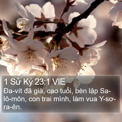 1 Sử Ký 23:1 VIE Bible Verse Image
