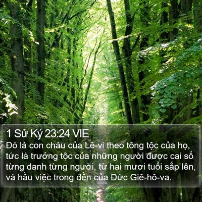 1 Sử Ký 23:24 VIE Bible Verse Image