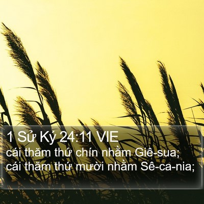 1 Sử Ký 24:11 VIE Bible Verse Image