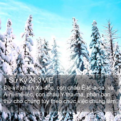 1 Sử Ký 24:3 VIE Bible Verse Image