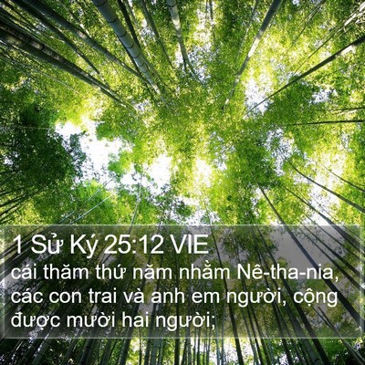 1 Sử Ký 25:12 VIE Bible Verse Image