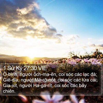 1 Sử Ký 27:30 VIE Bible Verse Image