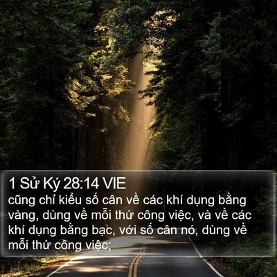 1 Sử Ký 28:14 VIE Bible Verse Image