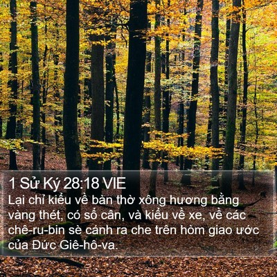 1 Sử Ký 28:18 VIE Bible Verse Image