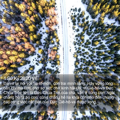 1 Sử Ký 28:20 VIE Bible Verse Image