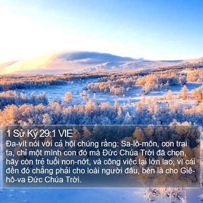 1 Sử Ký 29:1 VIE Bible Verse Image