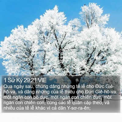1 Sử Ký 29:21 VIE Bible Verse Image