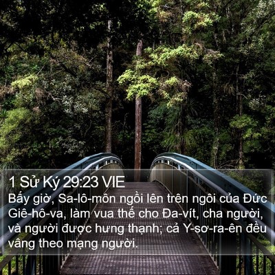 1 Sử Ký 29:23 VIE Bible Verse Image
