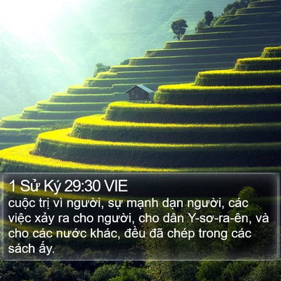 1 Sử Ký 29:30 VIE Bible Verse Image
