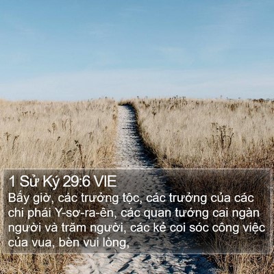 1 Sử Ký 29:6 VIE Bible Verse Image