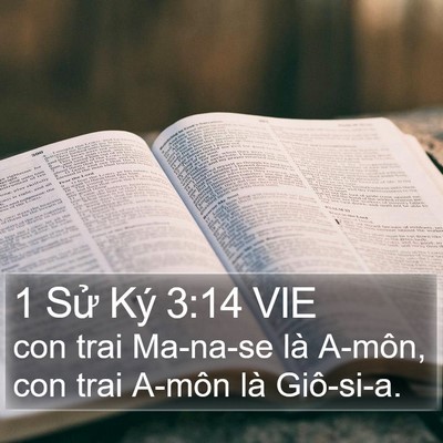 1 Sử Ký 3:14 VIE Bible Verse Image