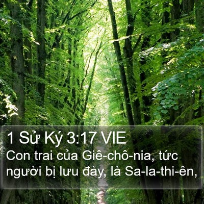 1 Sử Ký 3:17 VIE Bible Verse Image