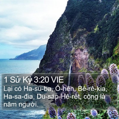 1 Sử Ký 3:20 VIE Bible Verse Image
