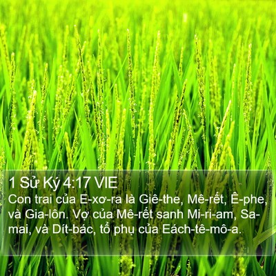 1 Sử Ký 4:17 VIE Bible Verse Image