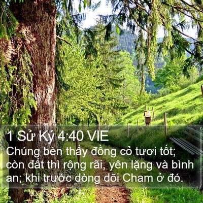1 Sử Ký 4:40 VIE Bible Verse Image