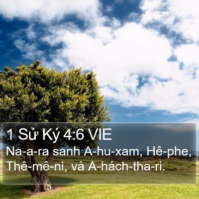 1 Sử Ký 4:6 VIE Bible Verse Image
