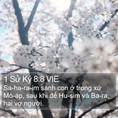 1 Sử Ký 8:8 VIE Bible Verse Image