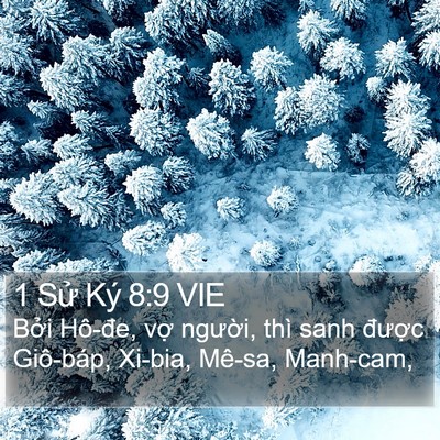 1 Sử Ký 8:9 VIE Bible Verse Image